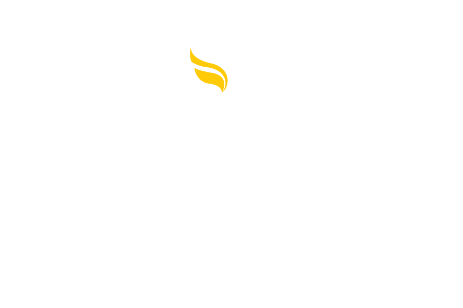 Apollo Adlux Hospital