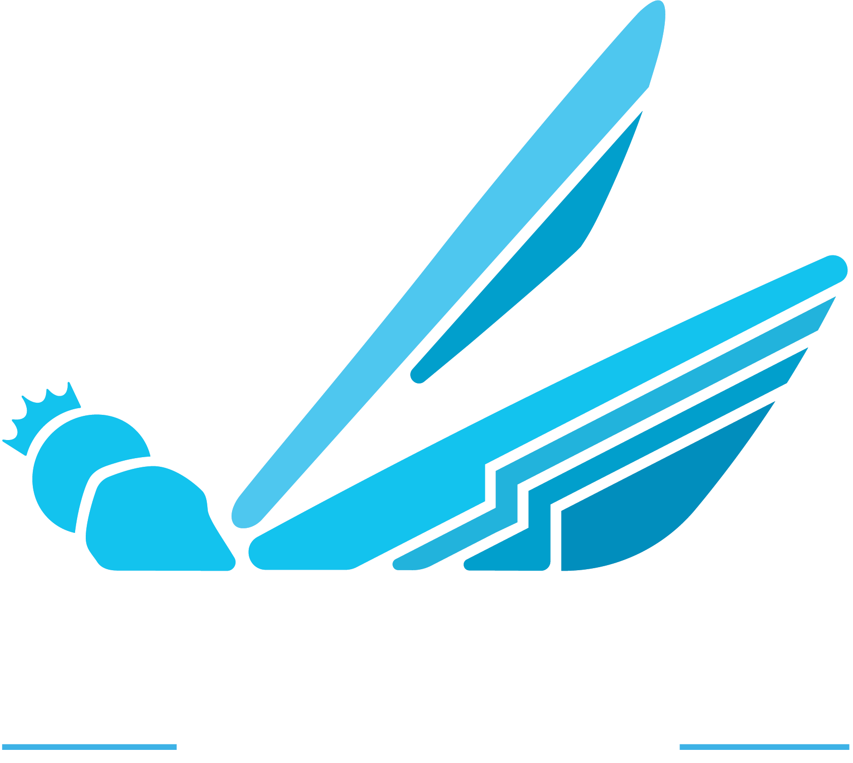 Basic fly Studio